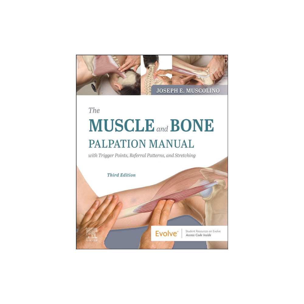 Elsevier - Health Sciences Division The Muscle and Bone Palpation Manual with Trigger Points, Referral Patterns and Stretching (häftad, eng)