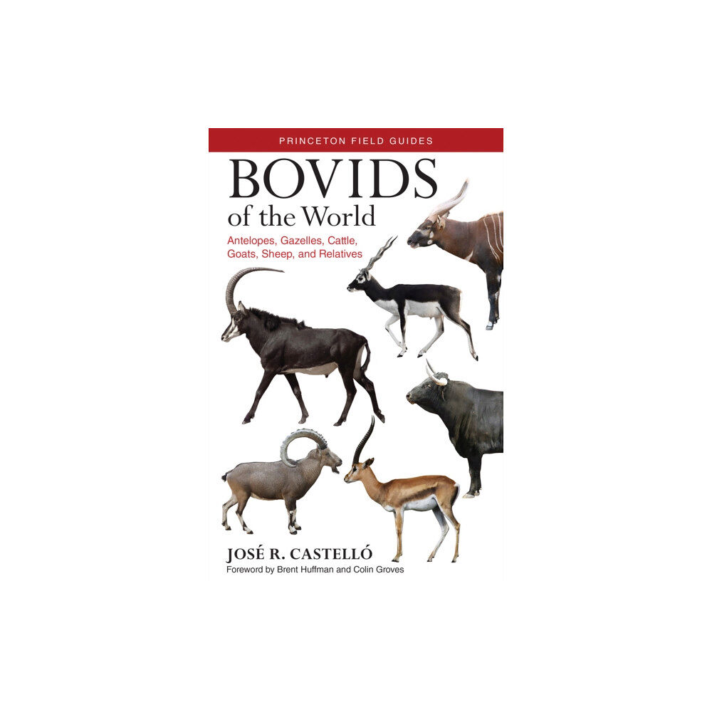 Princeton University Press Bovids of the World (häftad, eng)