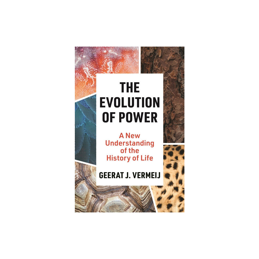 Princeton University Press The Evolution of Power (inbunden, eng)