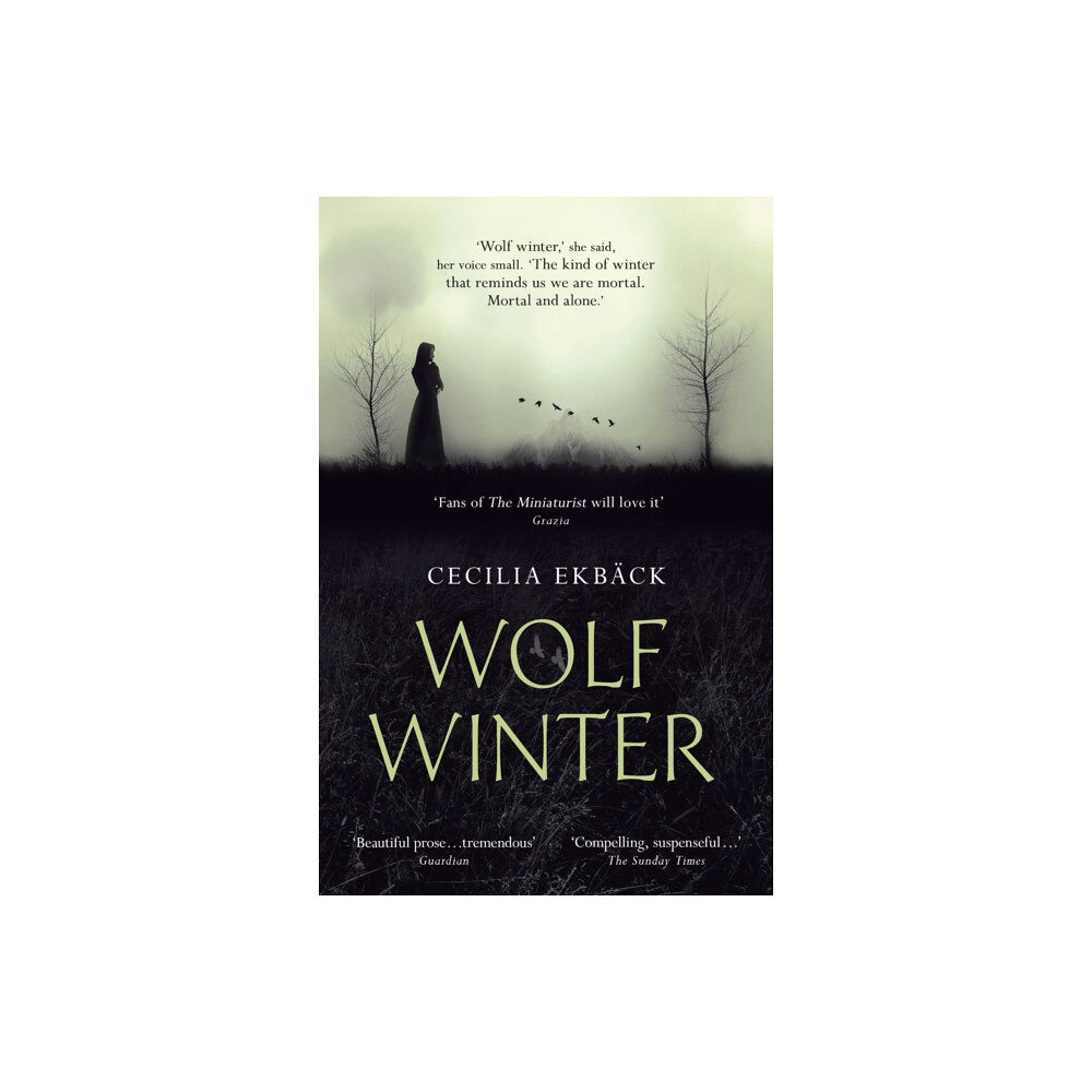 Hodder & Stoughton Wolf Winter (häftad, eng)