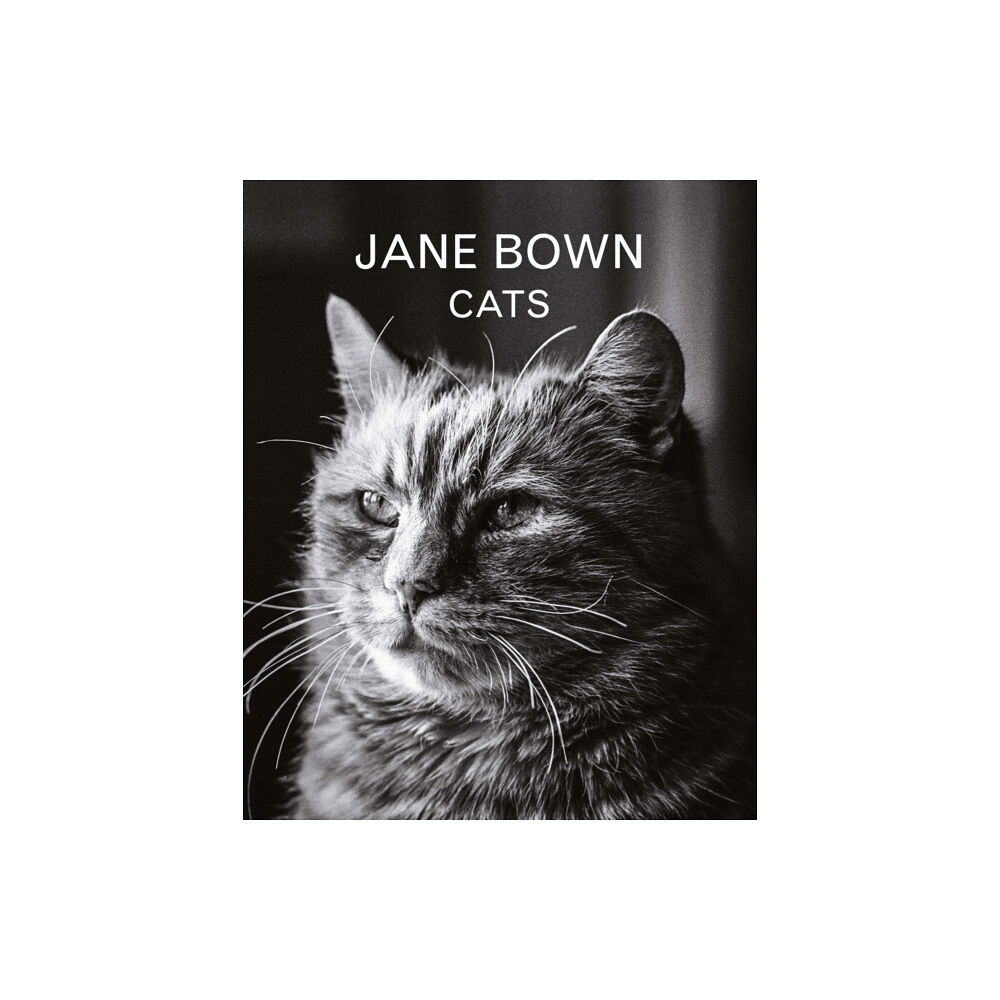 Guardian Faber Publishing Jane Bown: Cats (inbunden, eng)