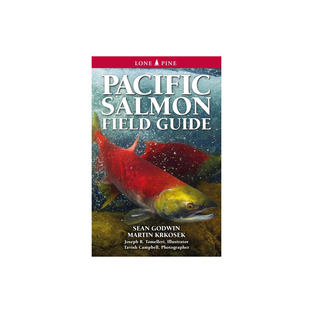 Lone Pine Publishing,Canada Pacific Salmon Field Guide (häftad, eng)