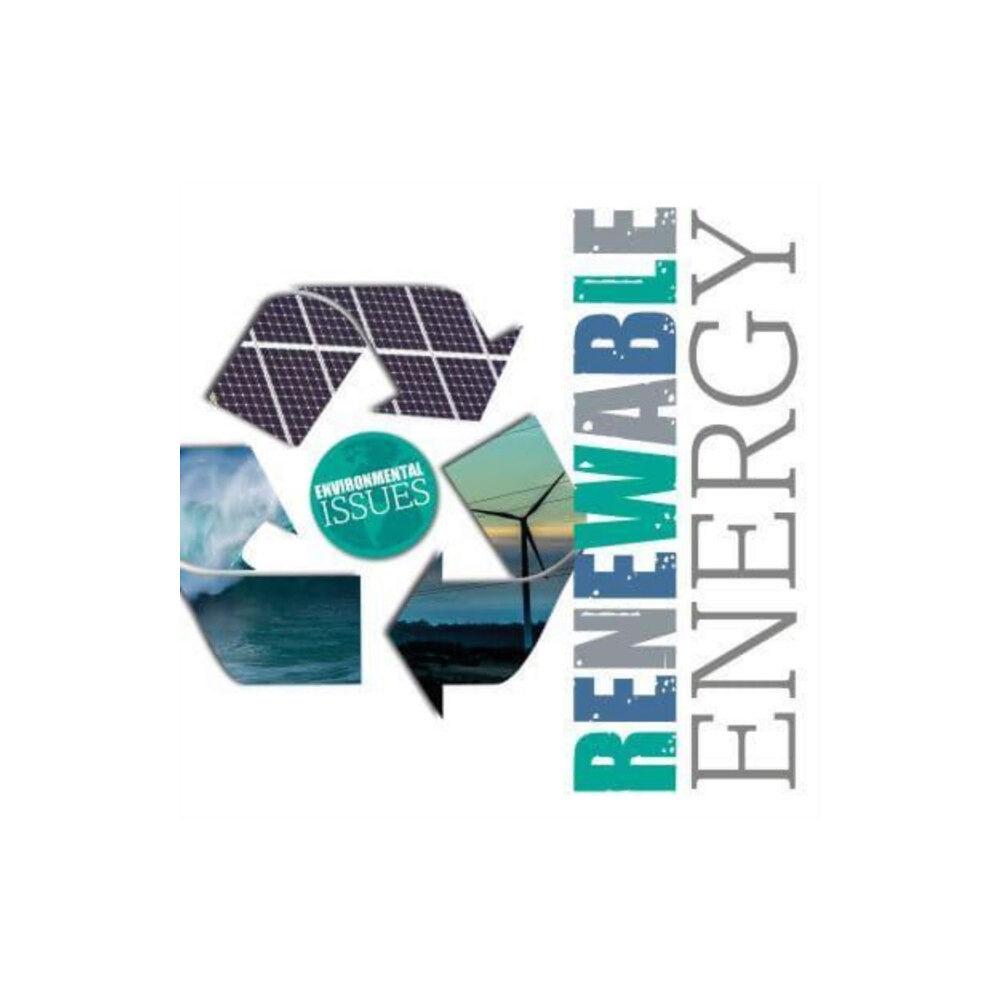 BookLife Publishing Renewable Energy (häftad, eng)