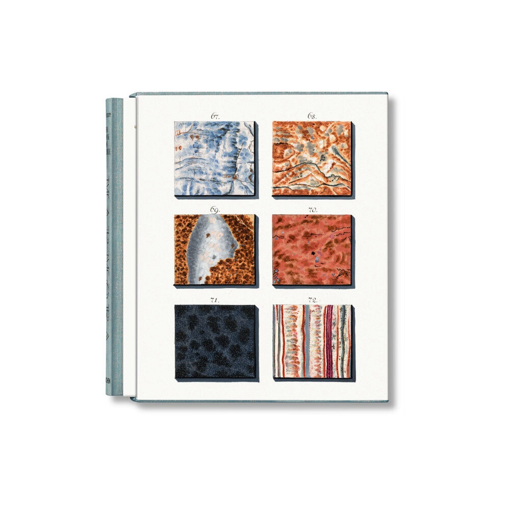 Taschen GmbH Jan Christiaan Sepp. The Book of Marble (inbunden, eng)