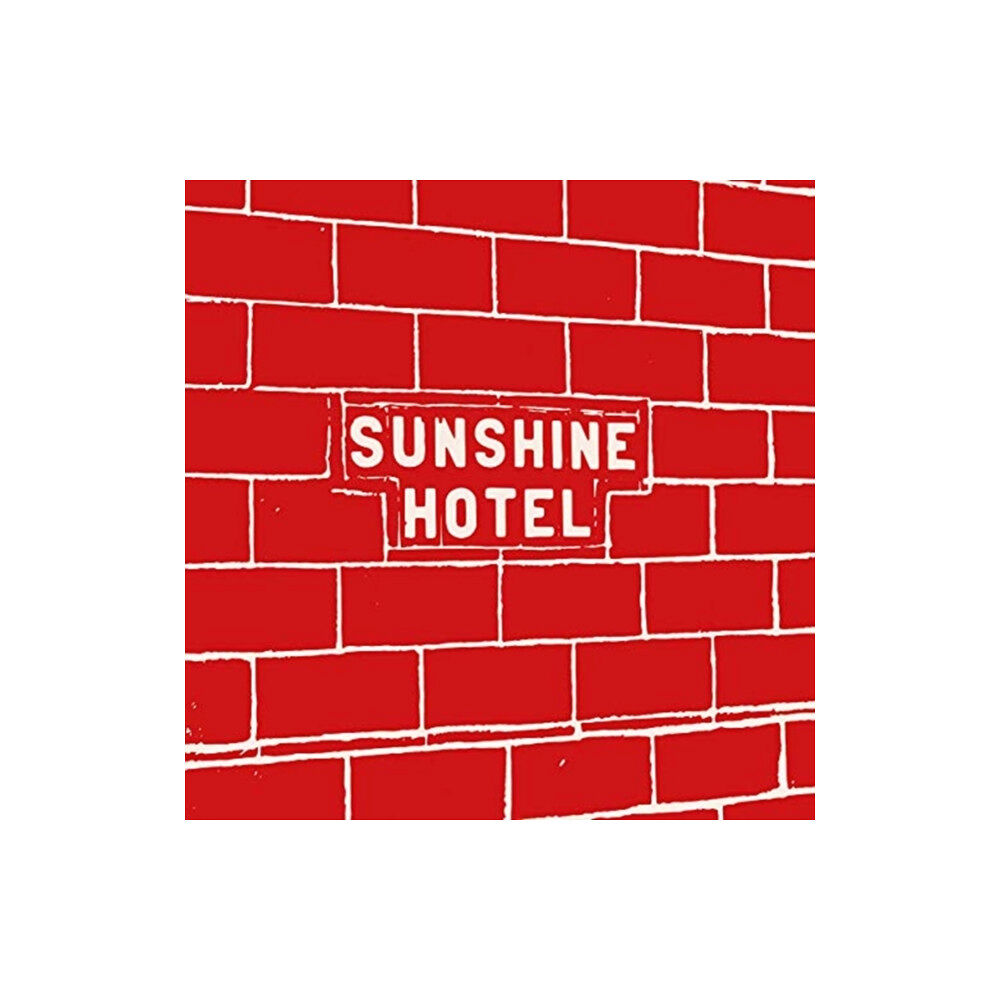 Steidl Publishers Mitch Epstein: Sunshine Hotel (inbunden, eng)