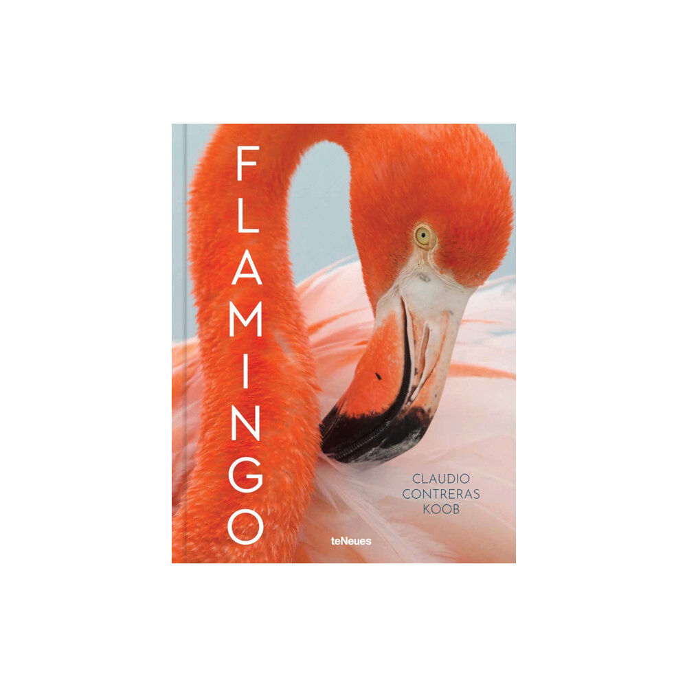 teNeues Publishing UK Ltd Flamingo (inbunden, eng)