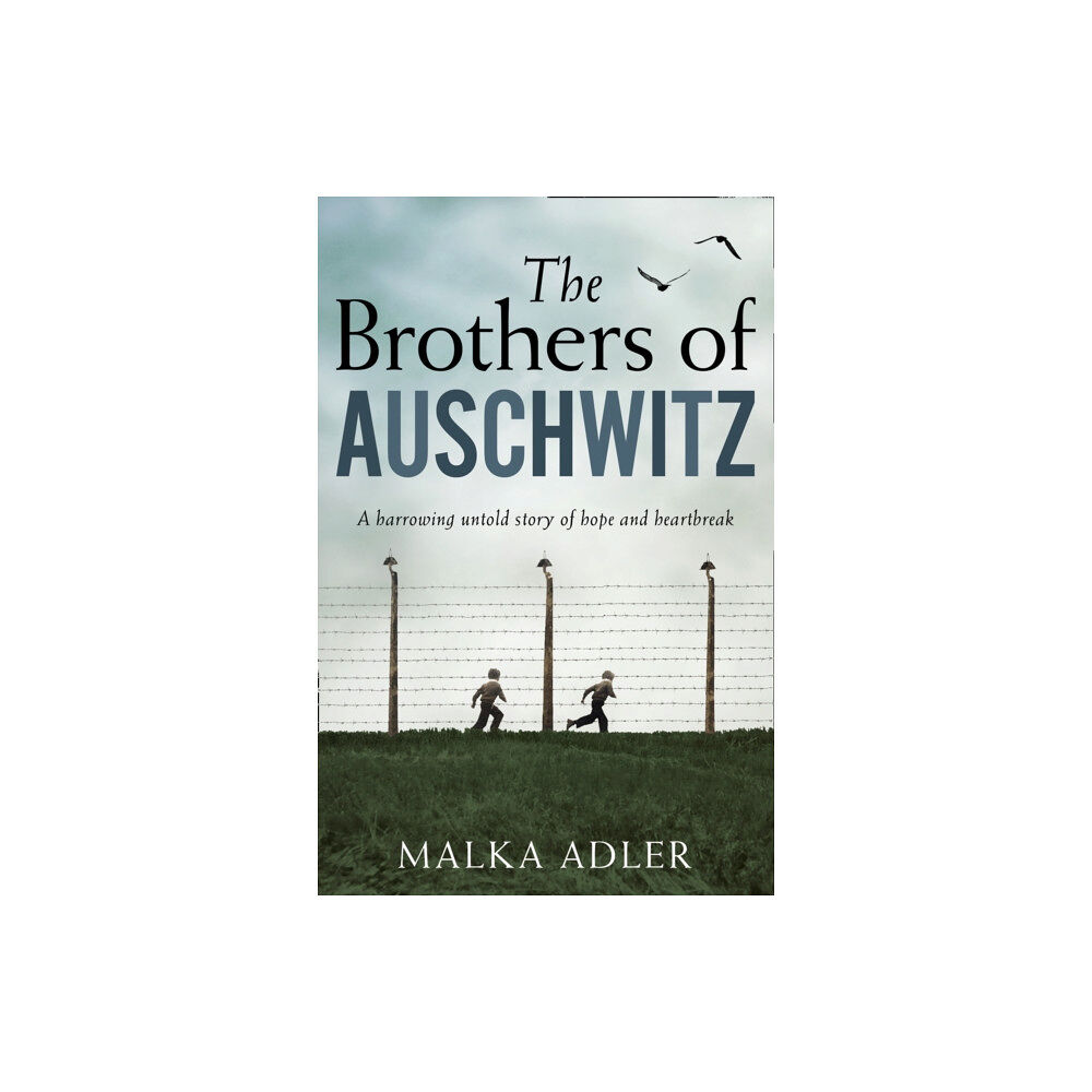 HarperCollins Publishers The Brothers of Auschwitz (häftad, eng)