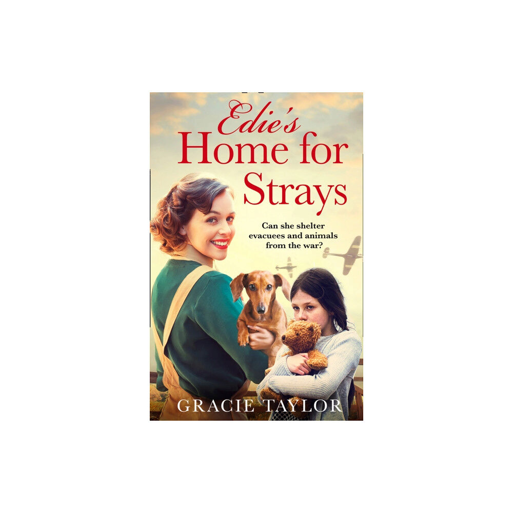 HarperCollins Publishers Edie’s Home for Strays (häftad, eng)