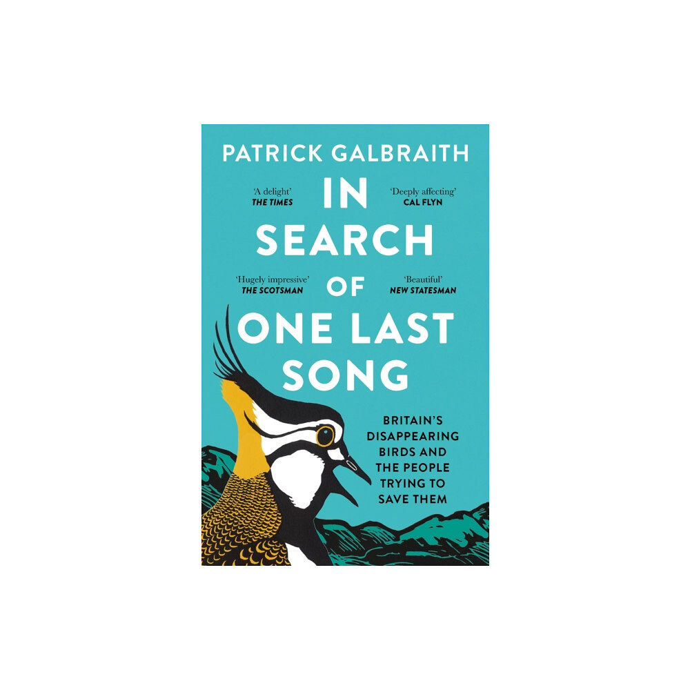 HarperCollins Publishers In Search of One Last Song (häftad, eng)