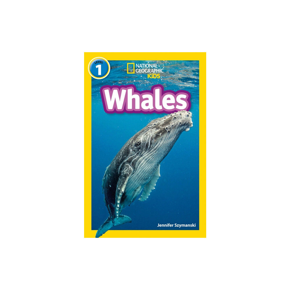 HarperCollins Publishers Whales (häftad, eng)