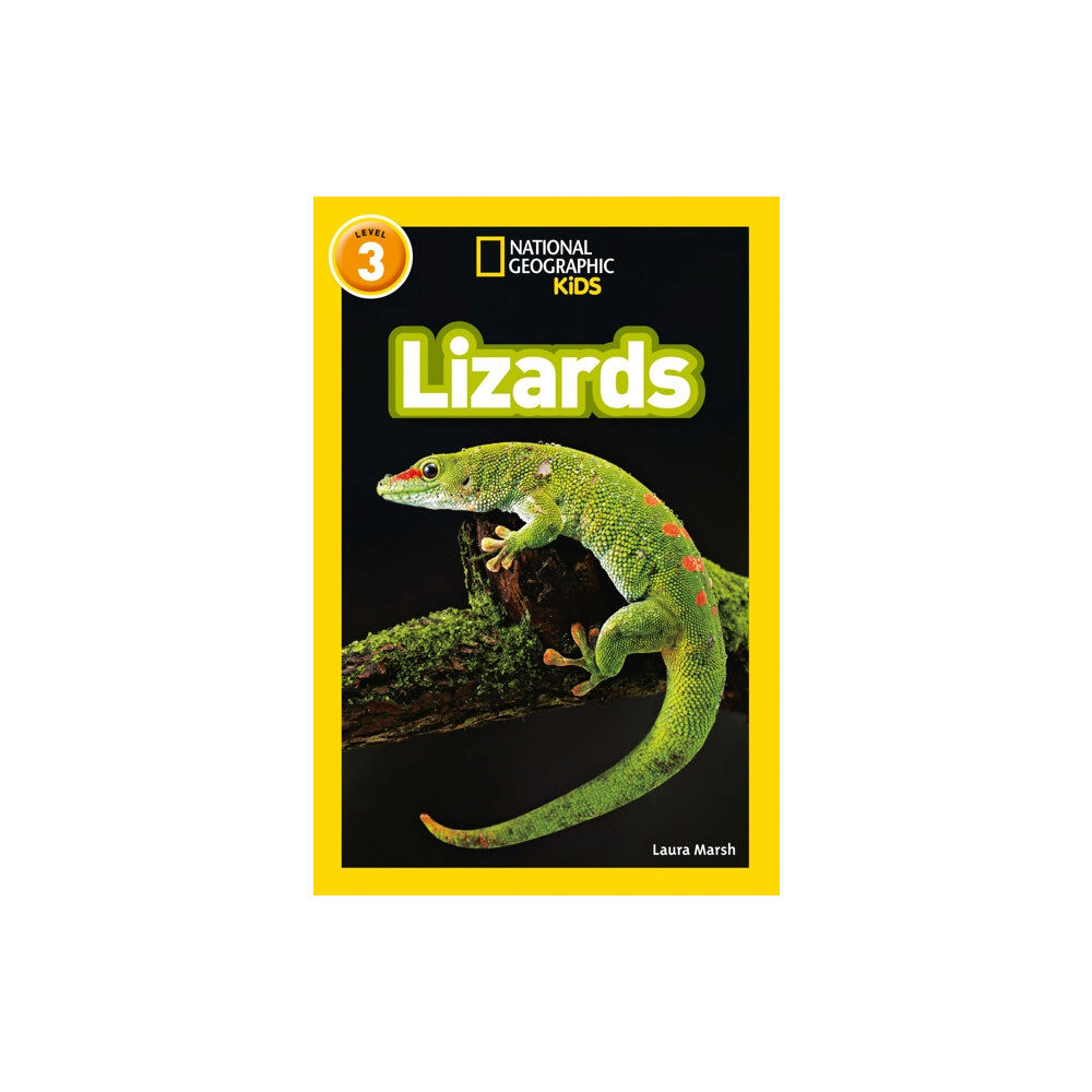 HarperCollins Publishers Lizards (häftad, eng)