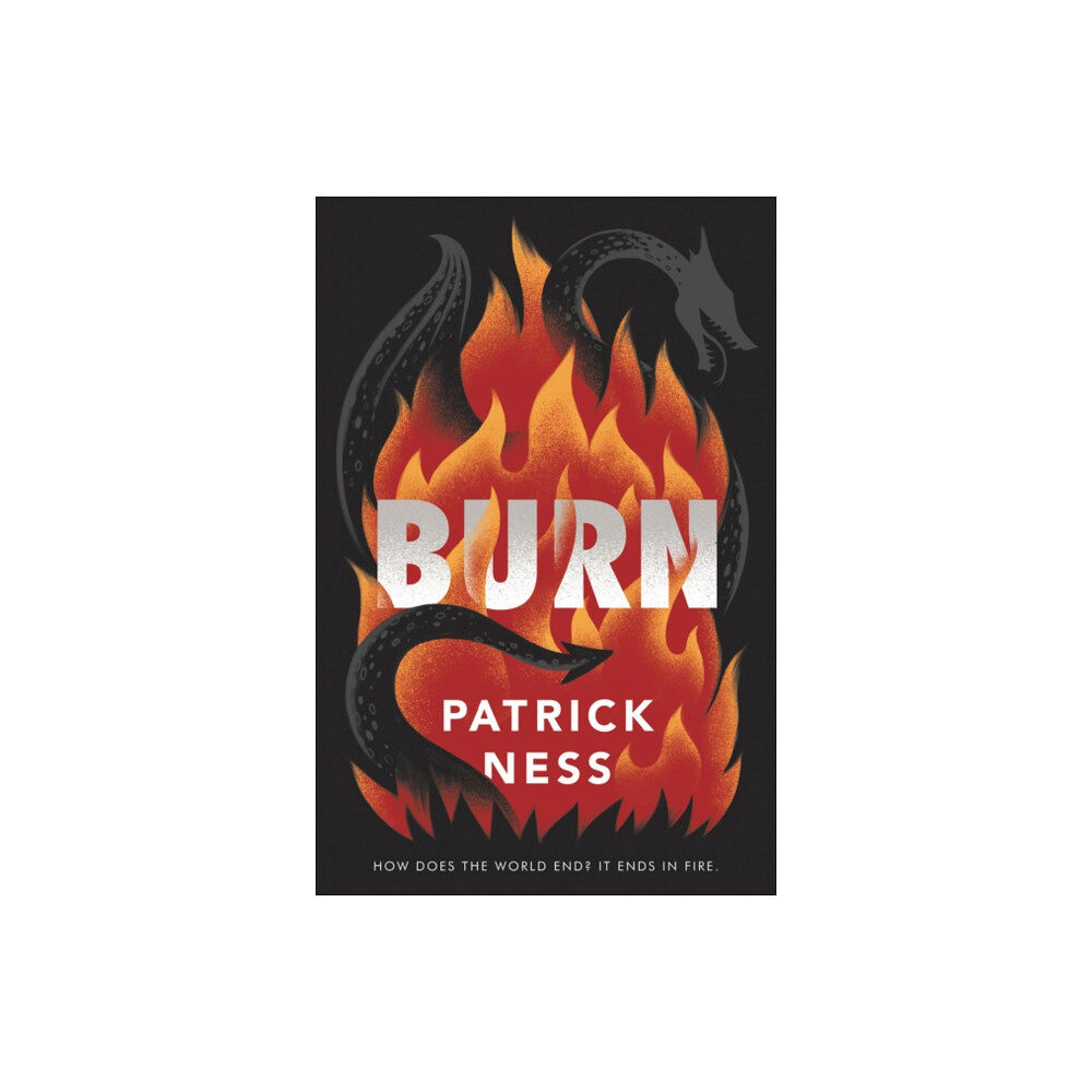 HarperCollins Burn (häftad, eng)
