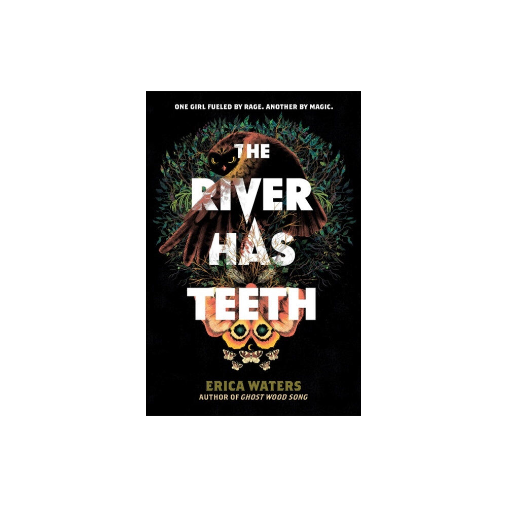 Harpercollins publishers inc The River Has Teeth (häftad, eng)