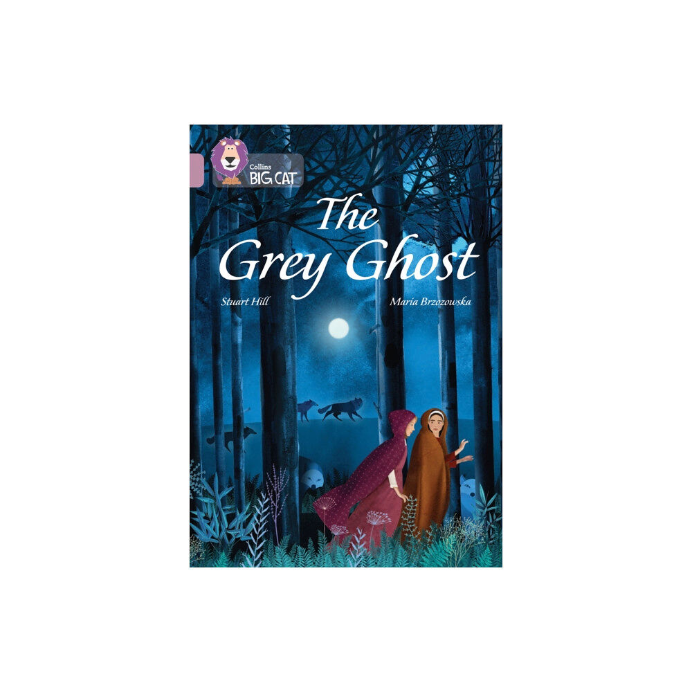 HarperCollins Publishers The Grey Ghost (häftad, eng)