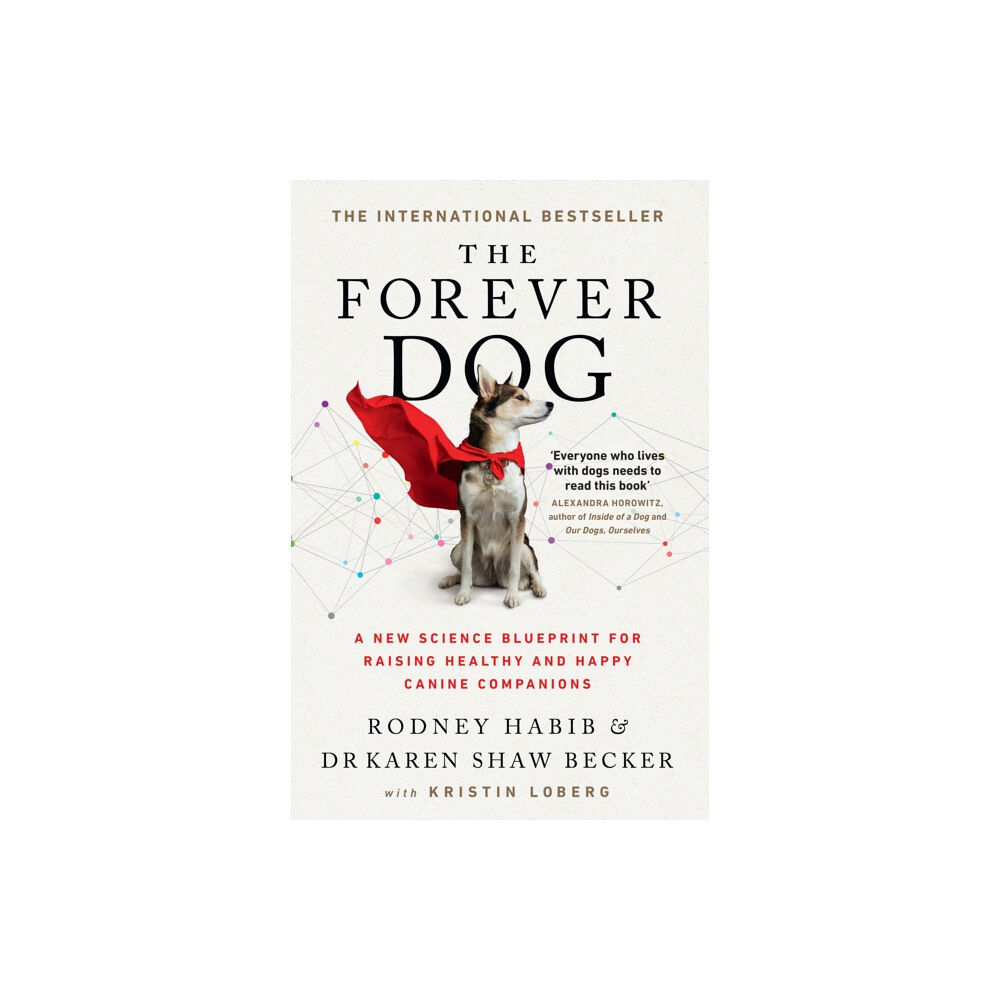 HarperCollins Publishers The Forever Dog (häftad, eng)