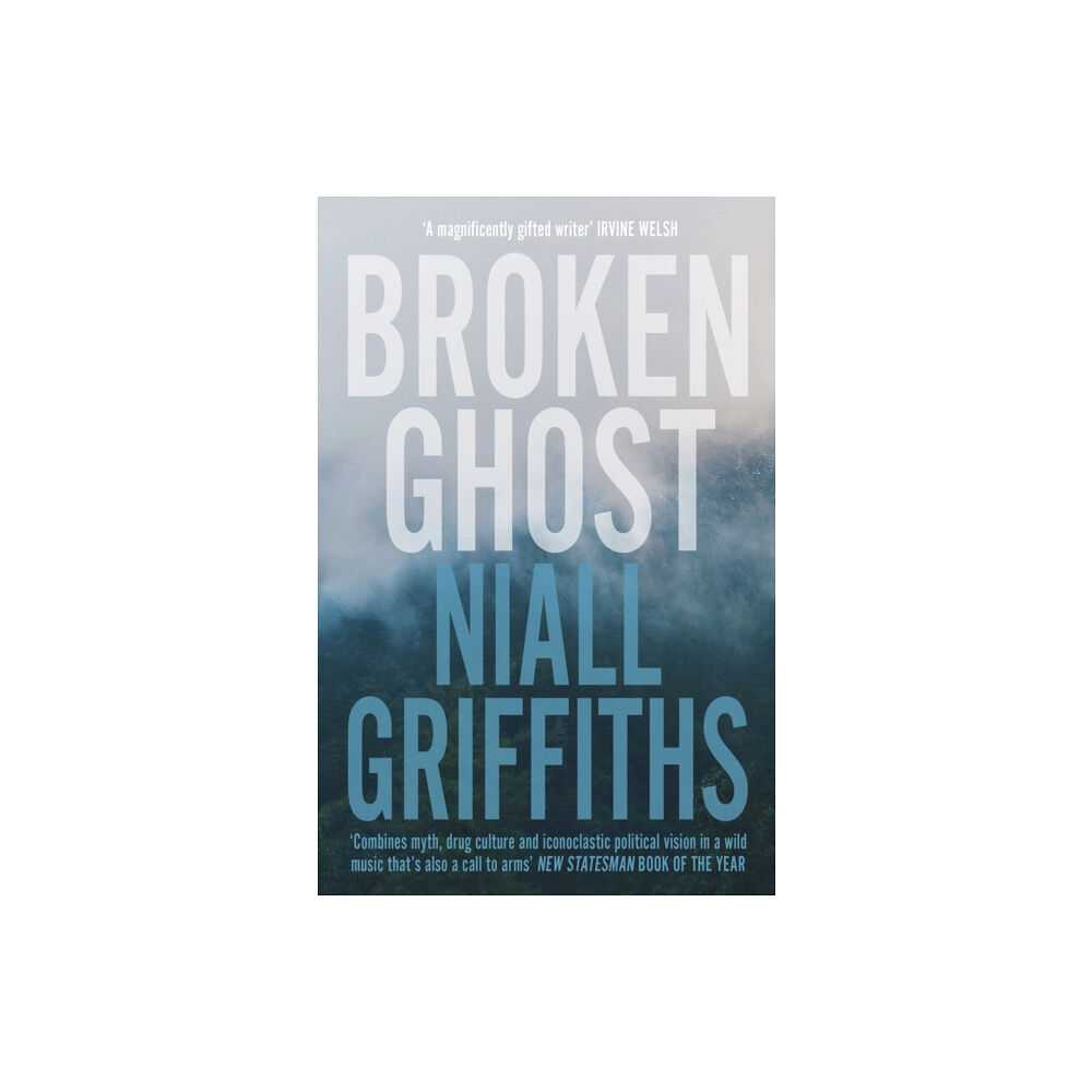 Vintage Publishing Broken Ghost (häftad, eng)