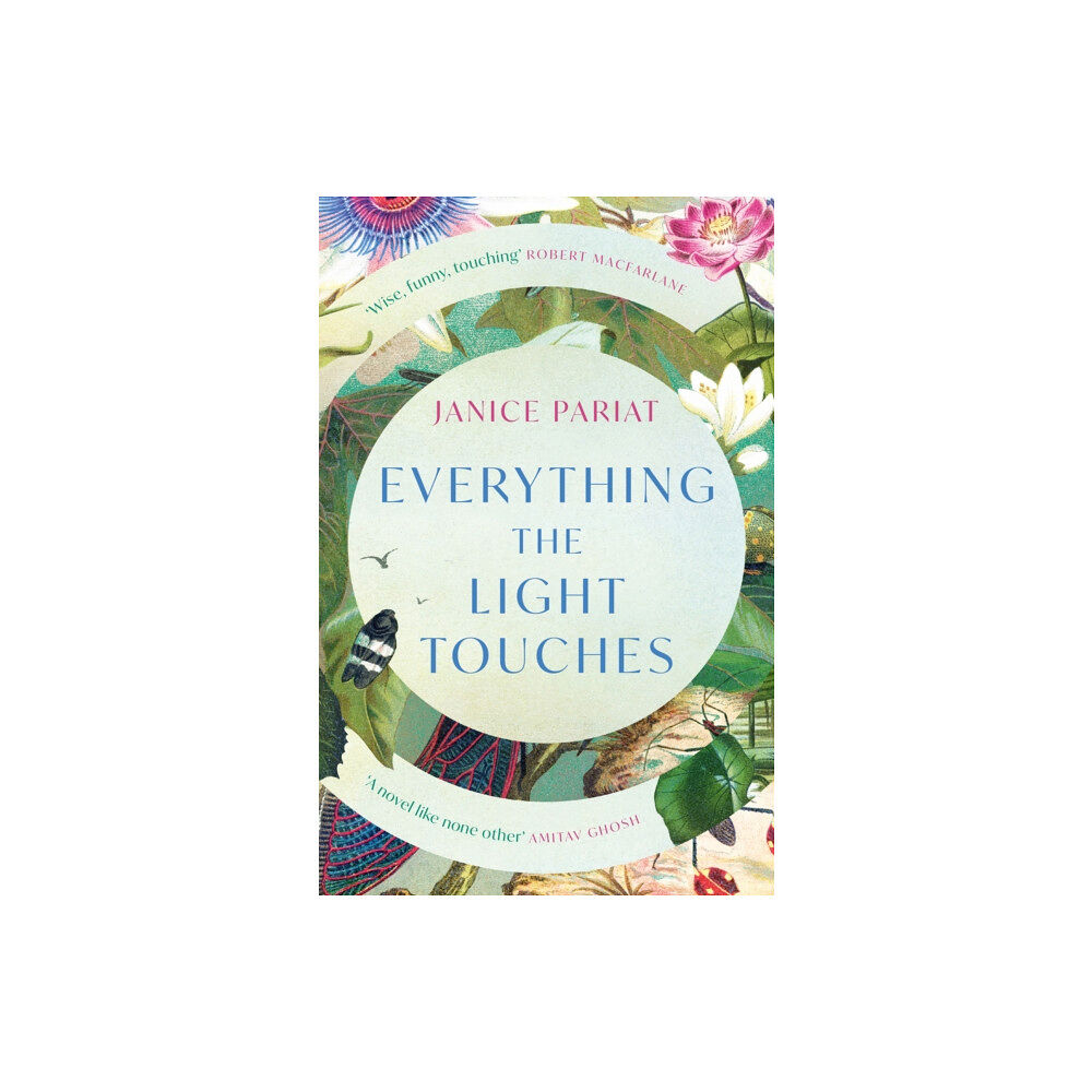 HarperCollins Publishers Everything the Light Touches (häftad, eng)