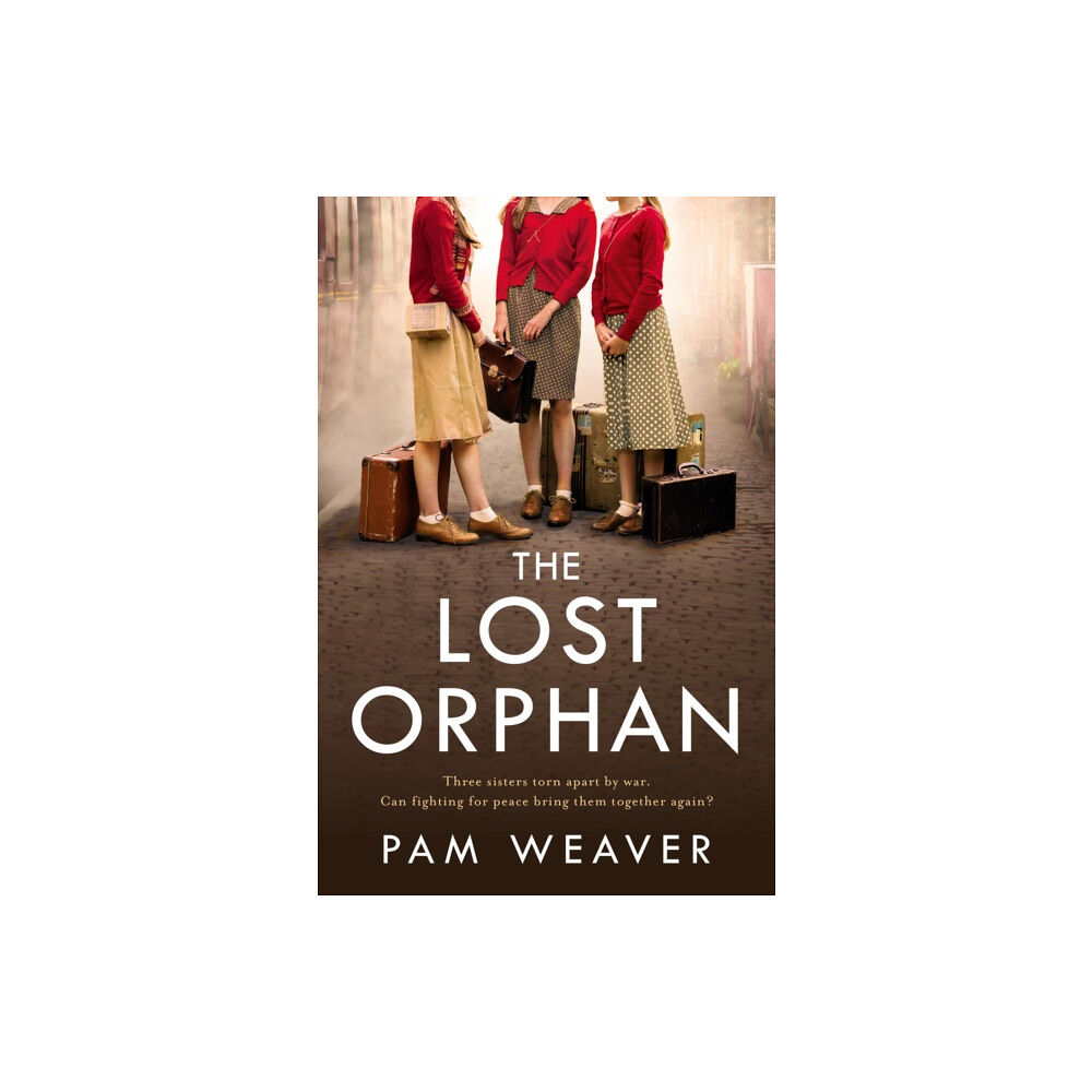 HarperCollins Publishers The Lost Orphan (häftad, eng)