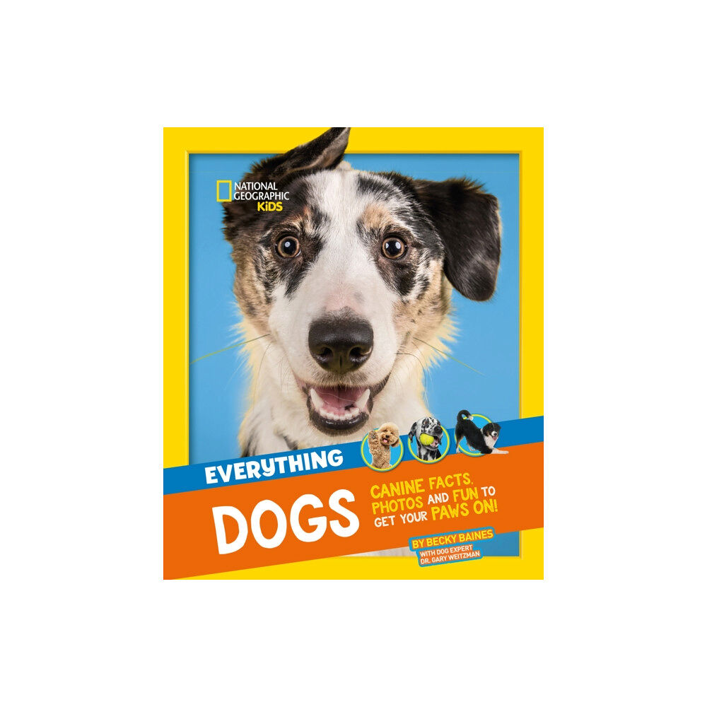HarperCollins Publishers Everything: Dogs (häftad, eng)