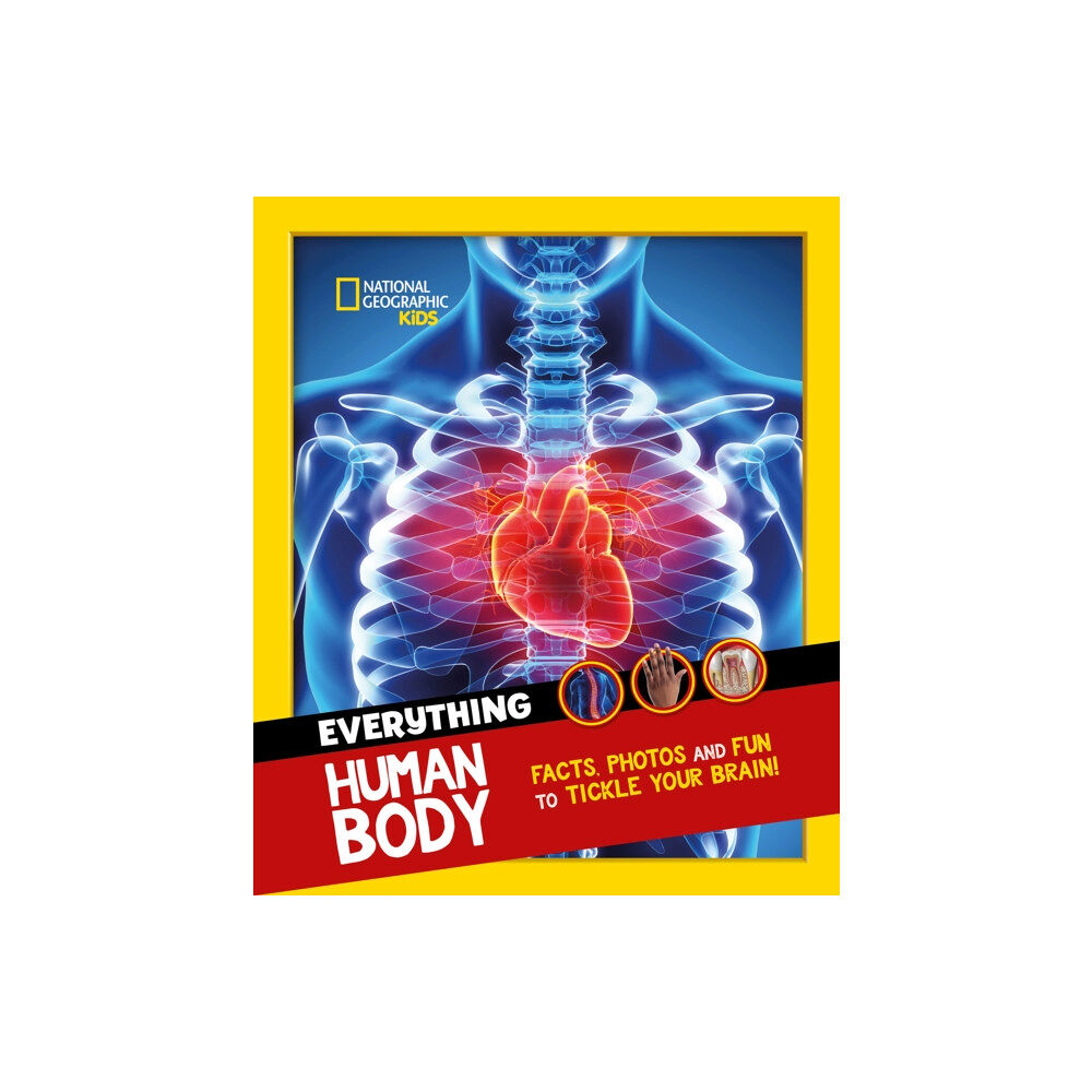 HarperCollins Publishers Everything: Human Body (häftad, eng)
