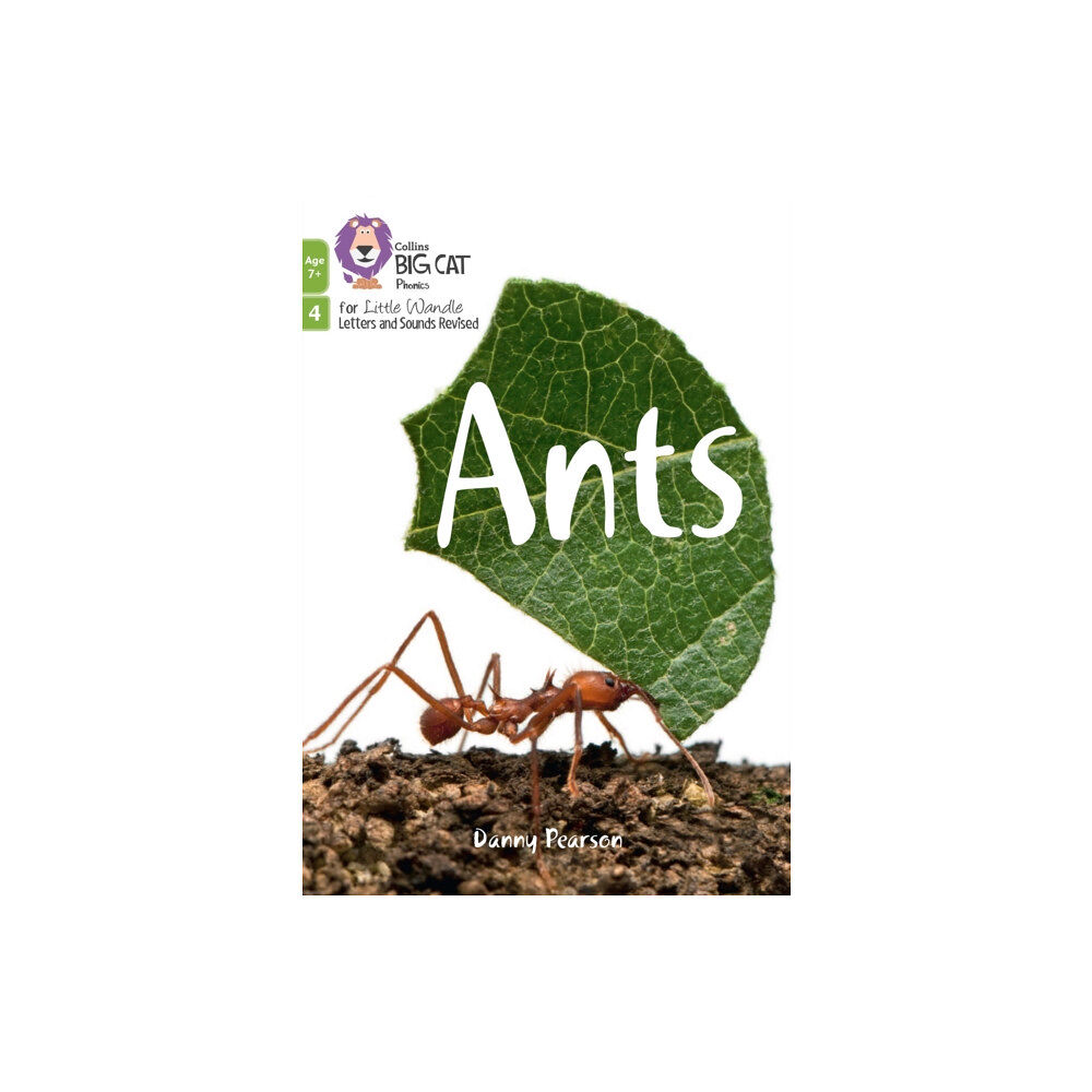 HarperCollins Publishers Ants (häftad, eng)