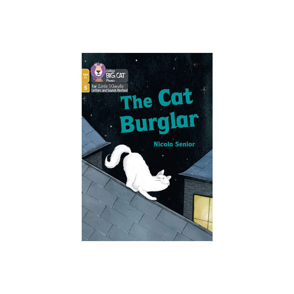 HarperCollins Publishers The Cat Burglar (häftad, eng)