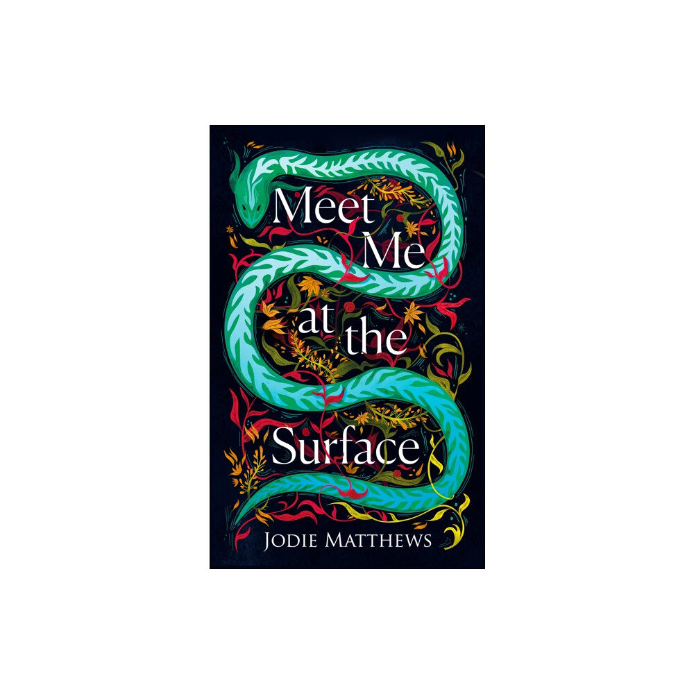 HarperCollins Publishers Meet Me at the Surface (häftad, eng)