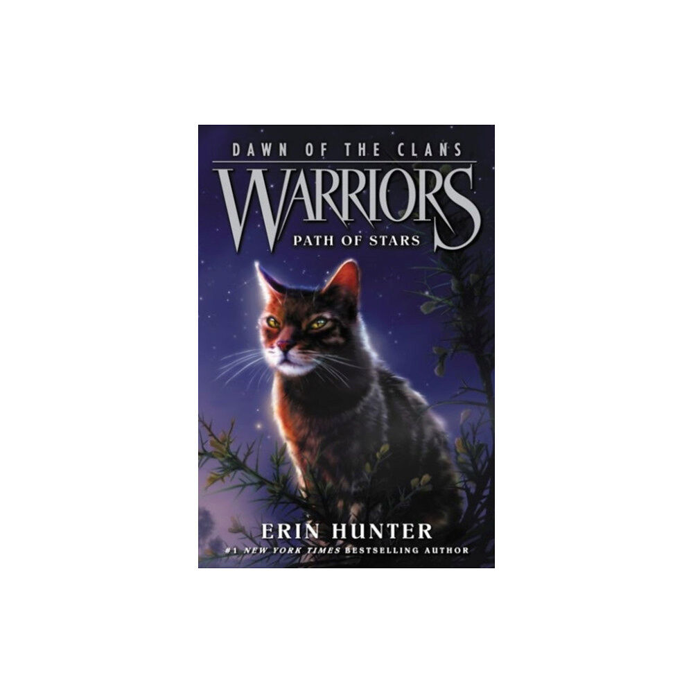 Harpercollins publishers inc Warriors: Dawn of the Clans #6: Path of Stars (häftad, eng)