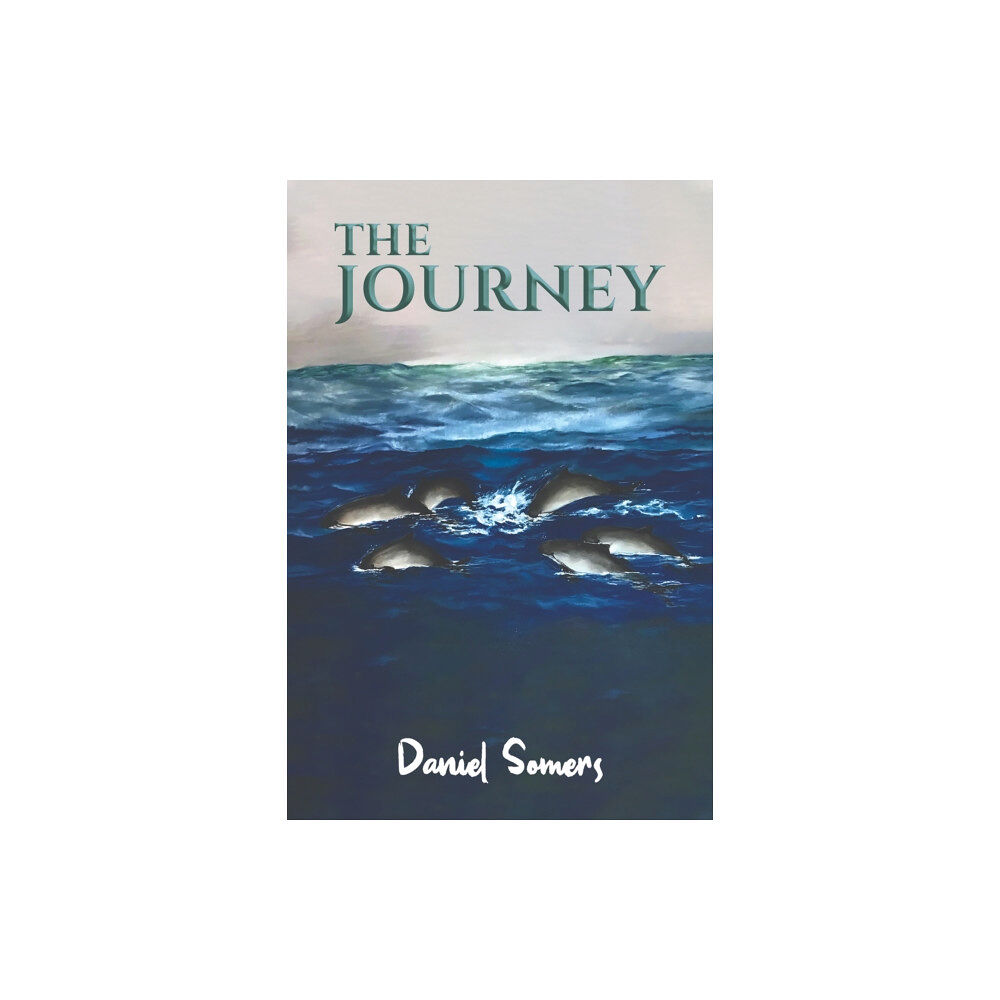 Austin Macauley Publishers The Journey (häftad, eng)