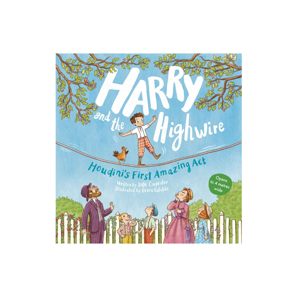 Greenhill Books Harry and the Highwire (häftad, eng)