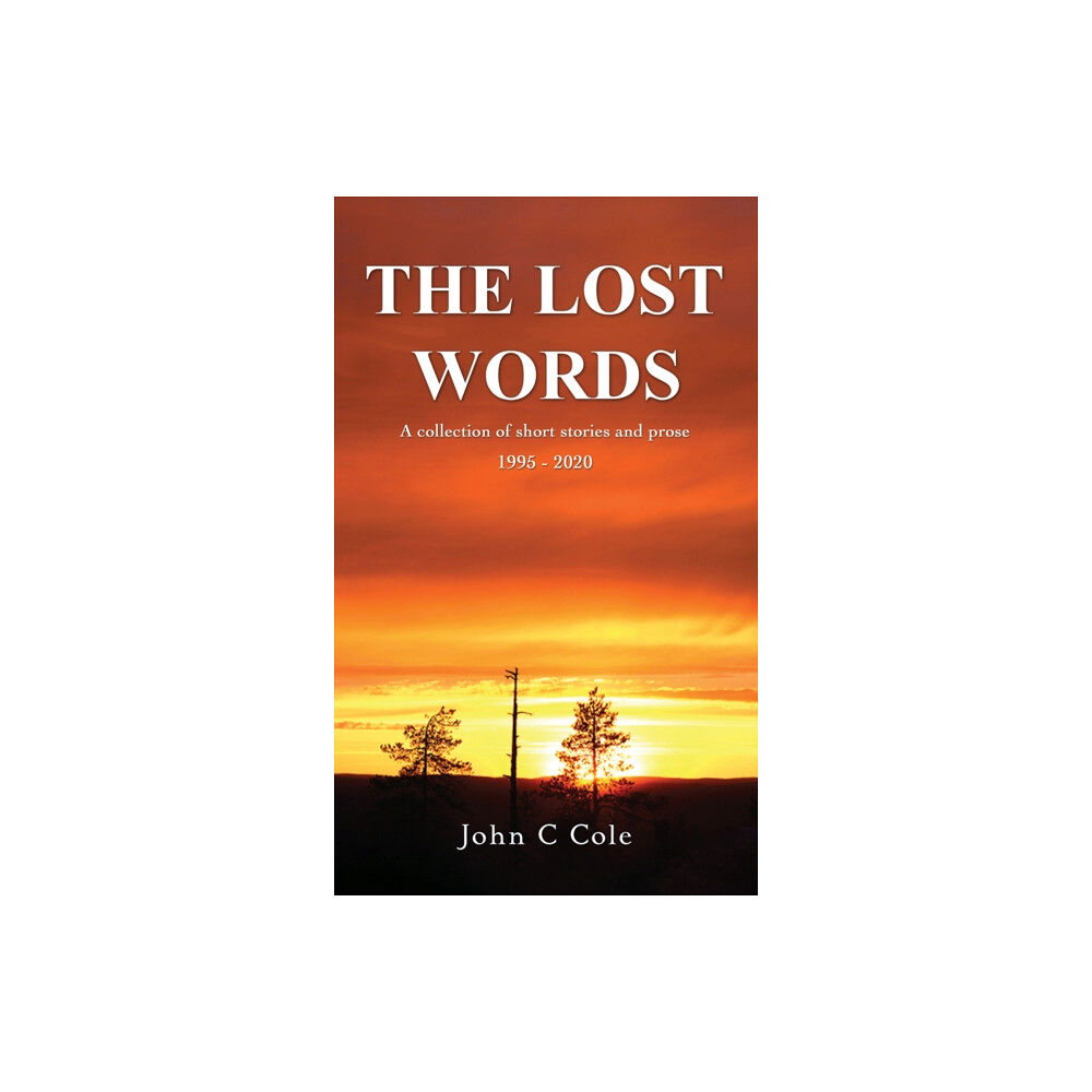 Austin Macauley Publishers LLC The Lost Words (häftad, eng)