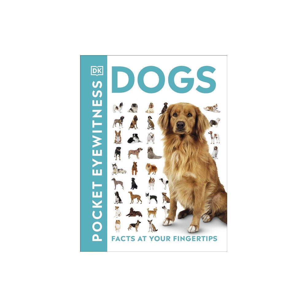 Dorling Kindersley Ltd Pocket Eyewitness Dogs (häftad, eng)