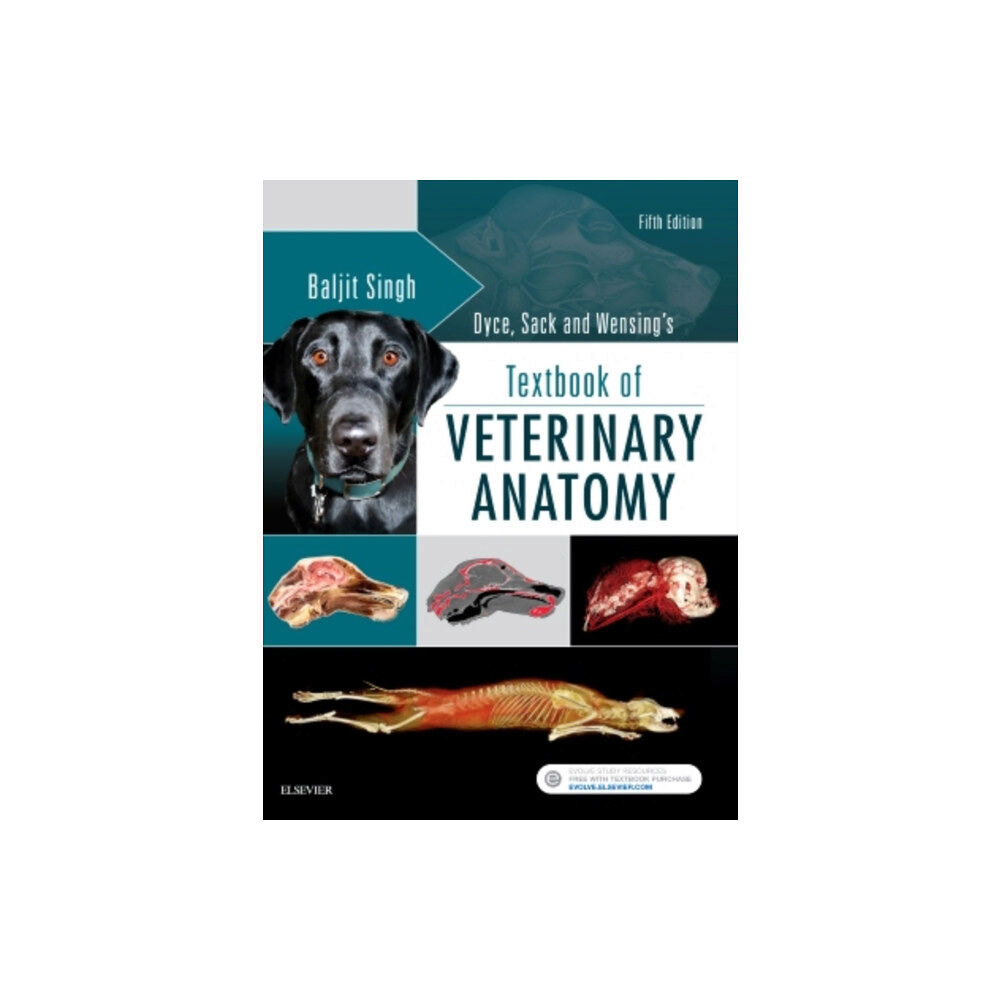 Elsevier - Health Sciences Division Dyce, Sack, and Wensing's Textbook of Veterinary Anatomy (inbunden, eng)