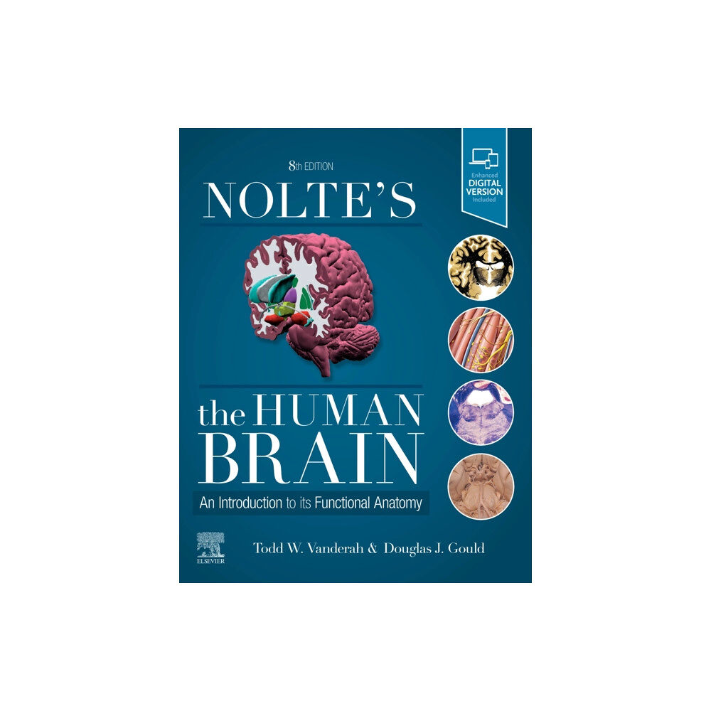 Elsevier - Health Sciences Division Nolte's The Human Brain (häftad, eng)