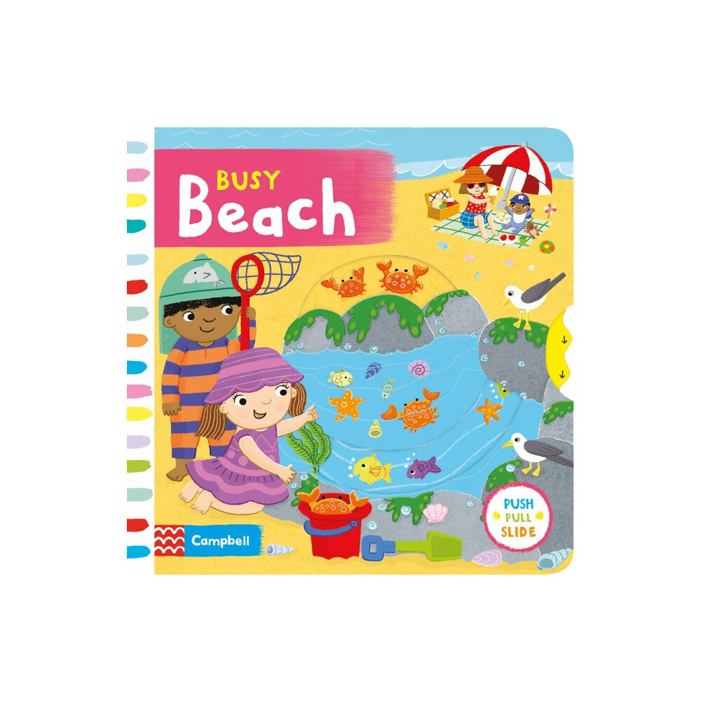 Pan Macmillan Busy Beach (bok, board book, eng)