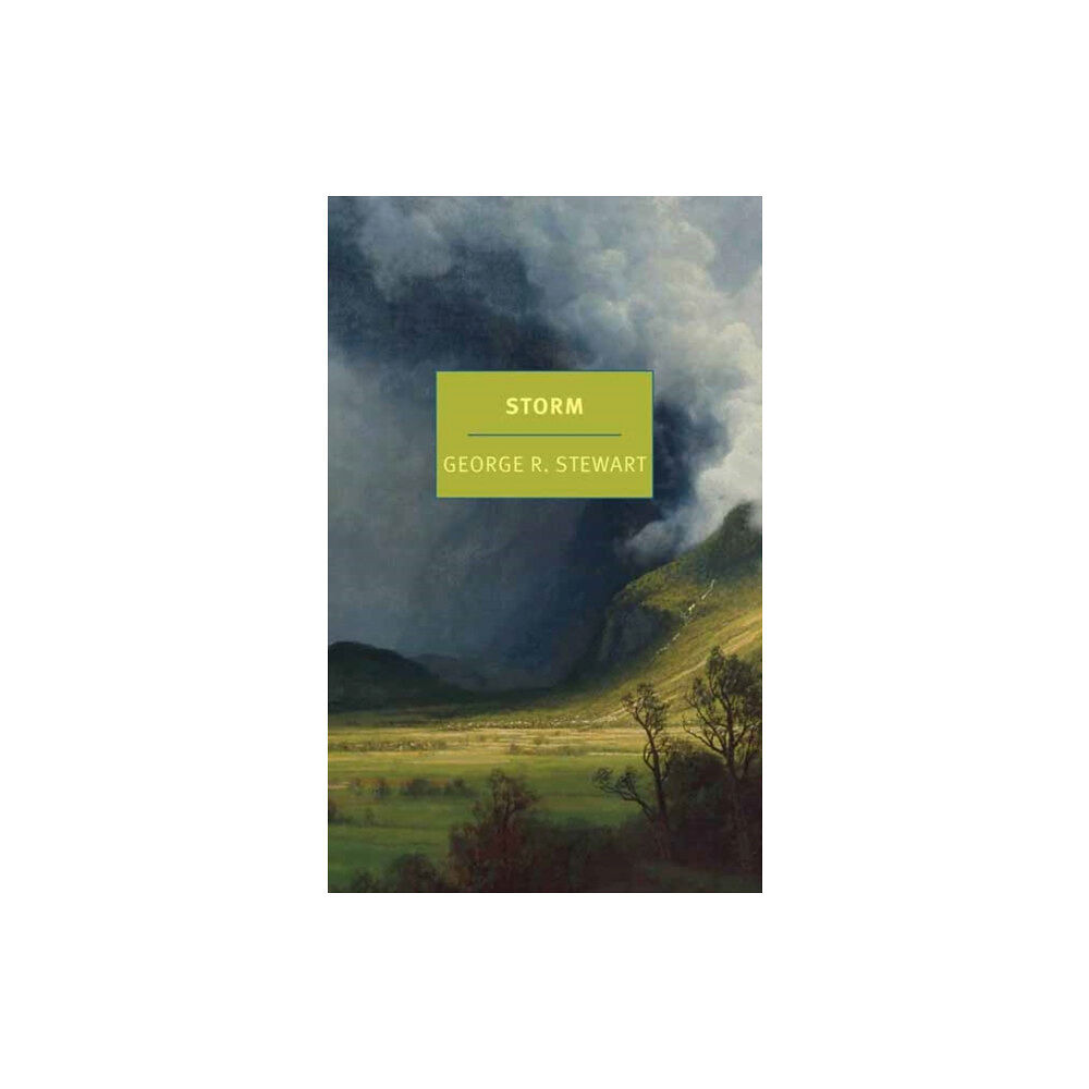 The New York Review of Books, Inc Storm (häftad, eng)