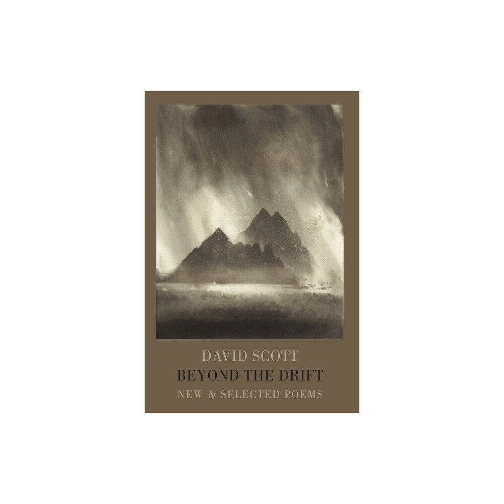 Bloodaxe Books Ltd Beyond the Drift (häftad, eng)