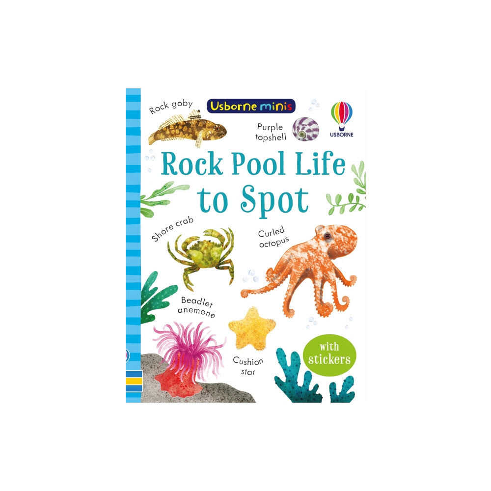 Usborne Publishing Ltd Rock Pool Life to Spot (häftad, eng)