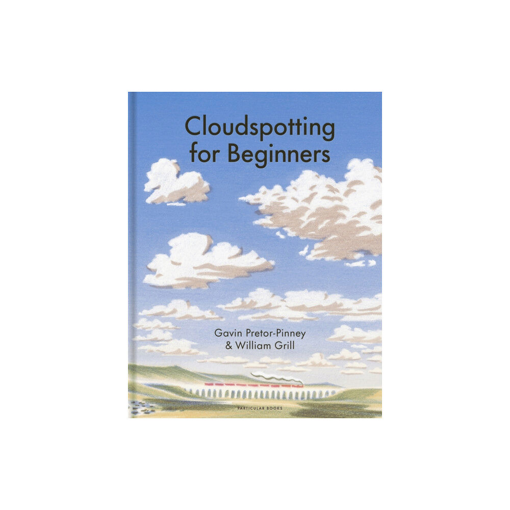 Penguin books ltd Cloudspotting For Beginners (inbunden, eng)