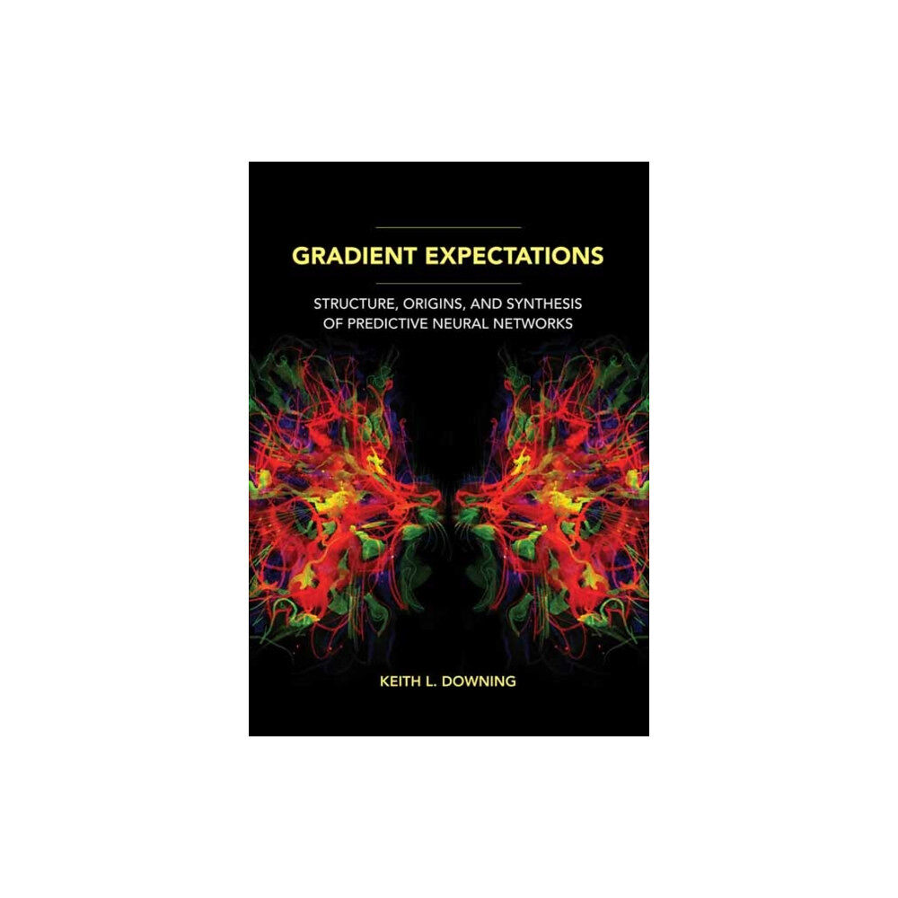 Mit press ltd Gradient Expectations (häftad, eng)