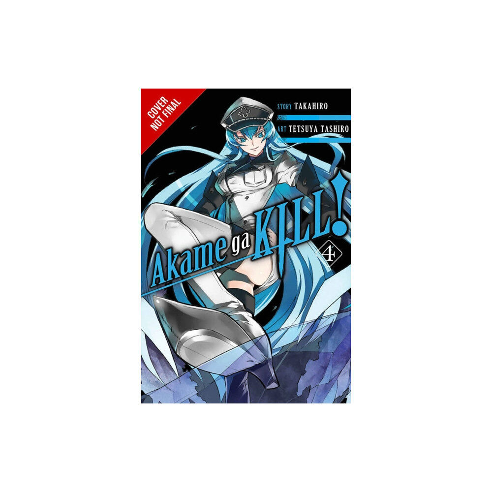 Little, Brown & Company Akame ga KILL!, Vol. 4 (häftad, eng)