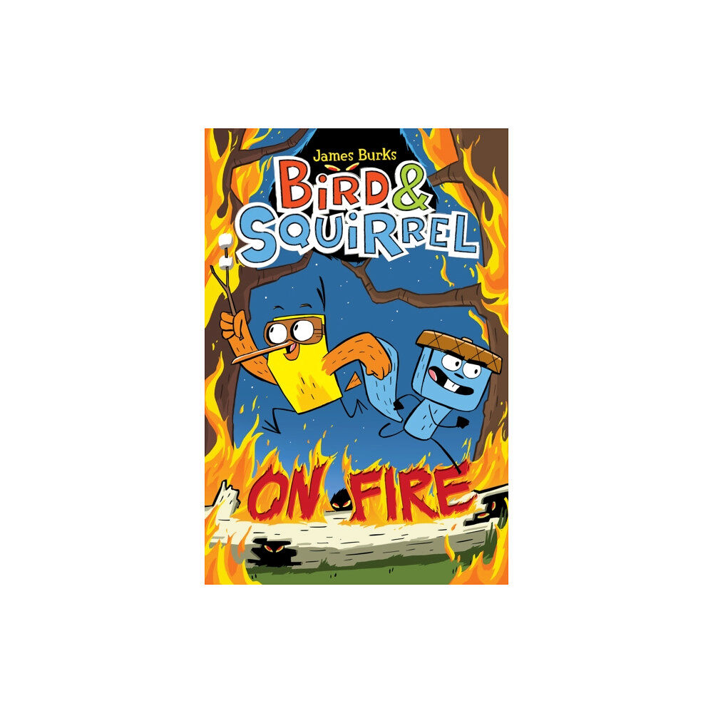 Scholastic Inc. Bird & Squirrel On Fire: A Graphic Novel (Bird & Squirrel #4) (häftad, eng)