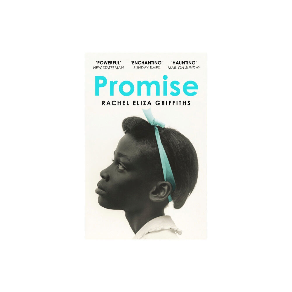 John Murray Press Promise (häftad, eng)