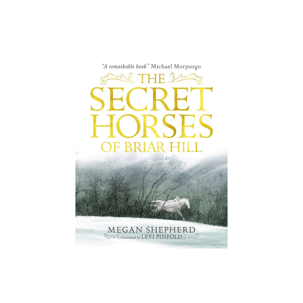 Walker Books Ltd The Secret Horses of Briar Hill (häftad, eng)