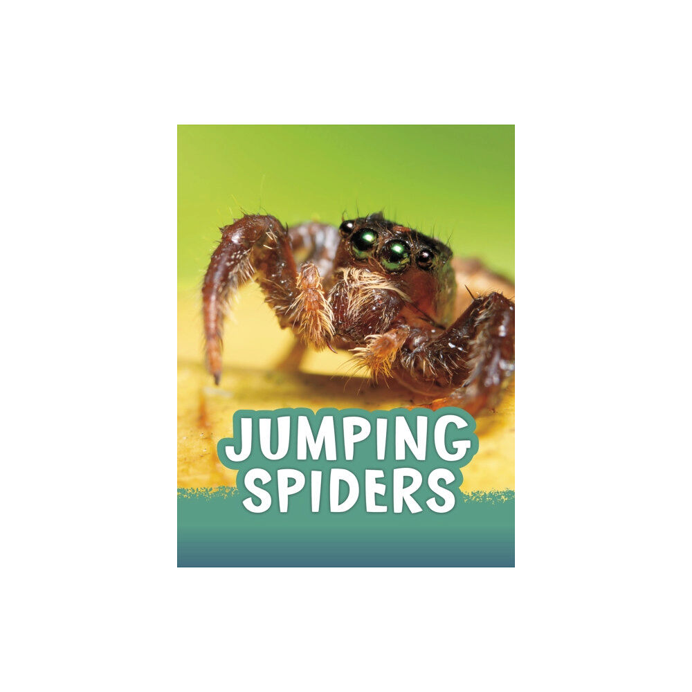 Capstone Global Library Ltd Jumping Spiders (häftad, eng)