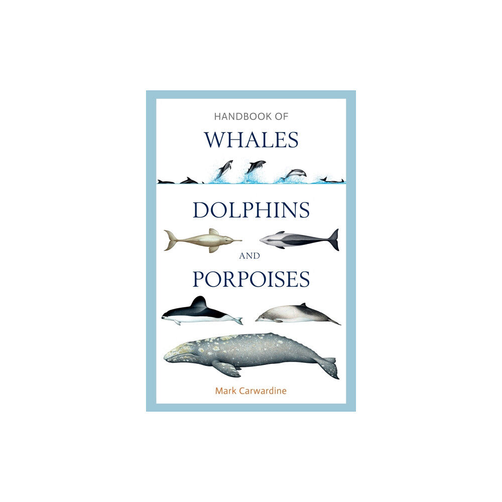 Bloomsbury Publishing PLC Handbook of Whales, Dolphins and Porpoises (inbunden, eng)