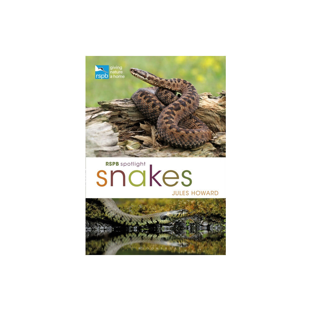 Bloomsbury Publishing PLC RSPB Spotlight Snakes (häftad, eng)