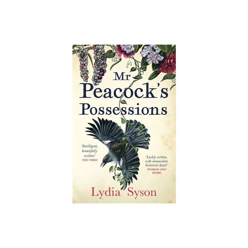 Hot Key Books Mr Peacock's Possessions (häftad, eng)