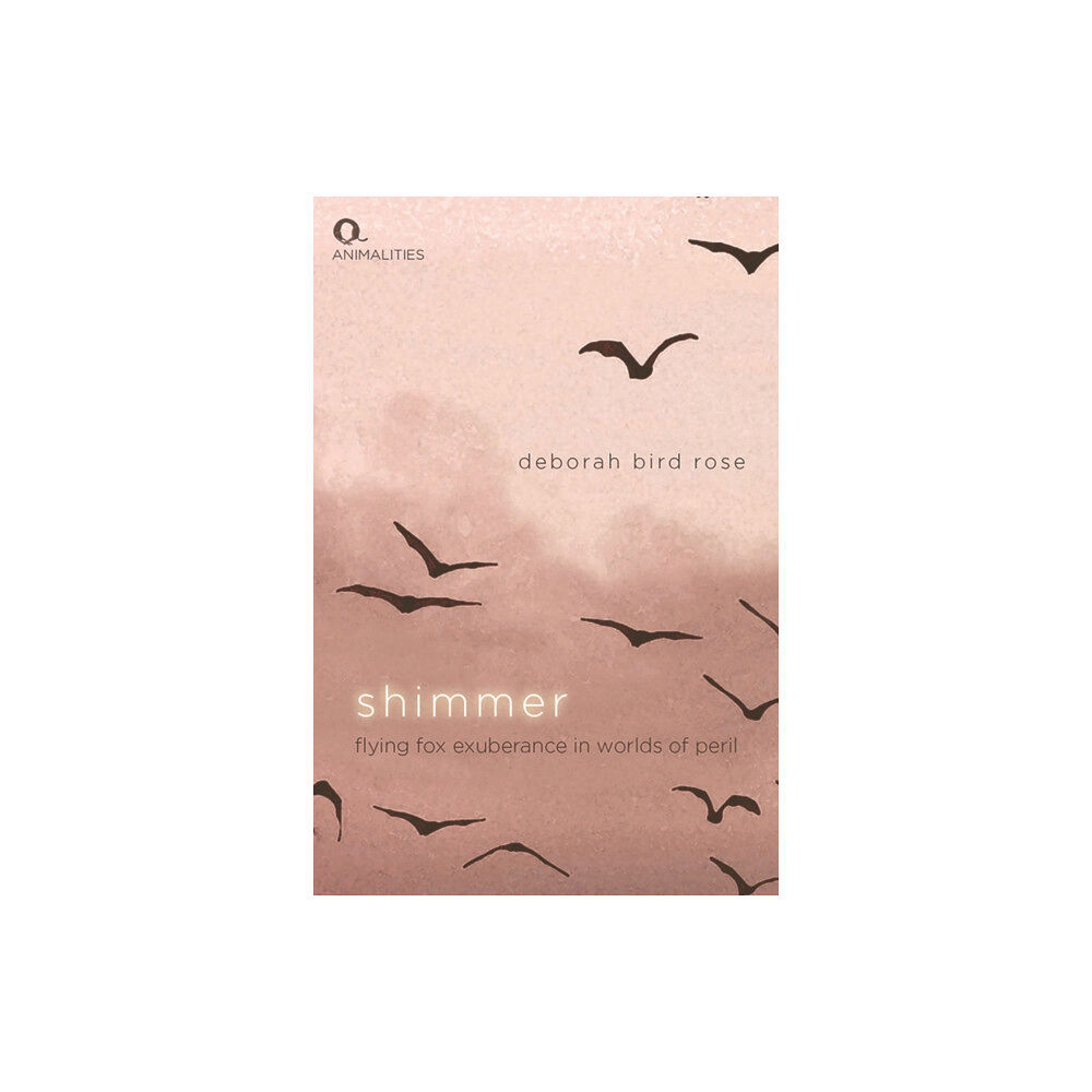 Edinburgh university press Shimmer (häftad, eng)