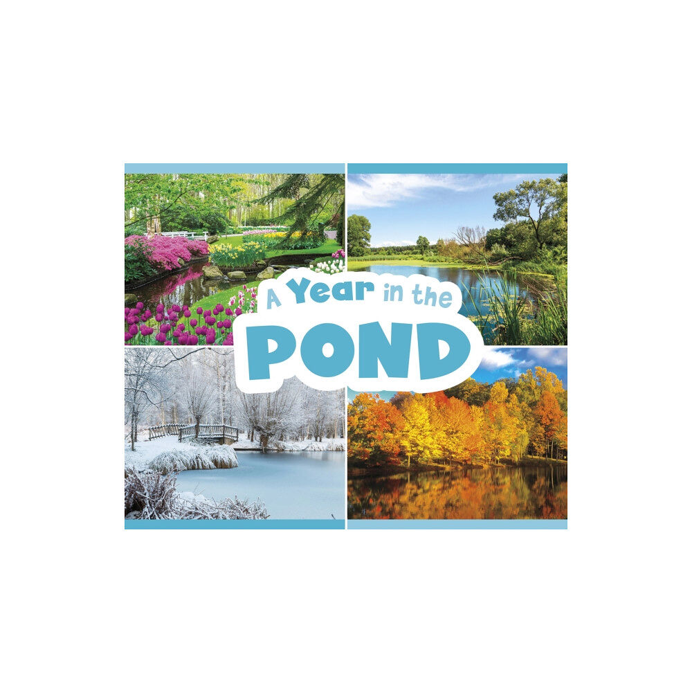 Capstone Global Library Ltd A Year in the Pond (häftad, eng)